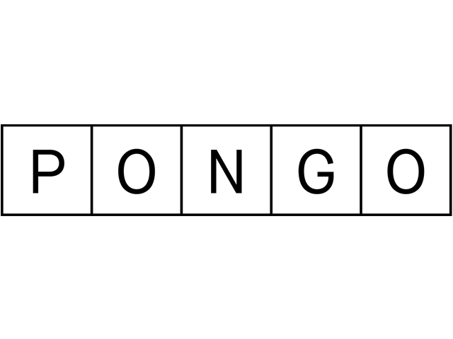 pongo blanco1.jpg